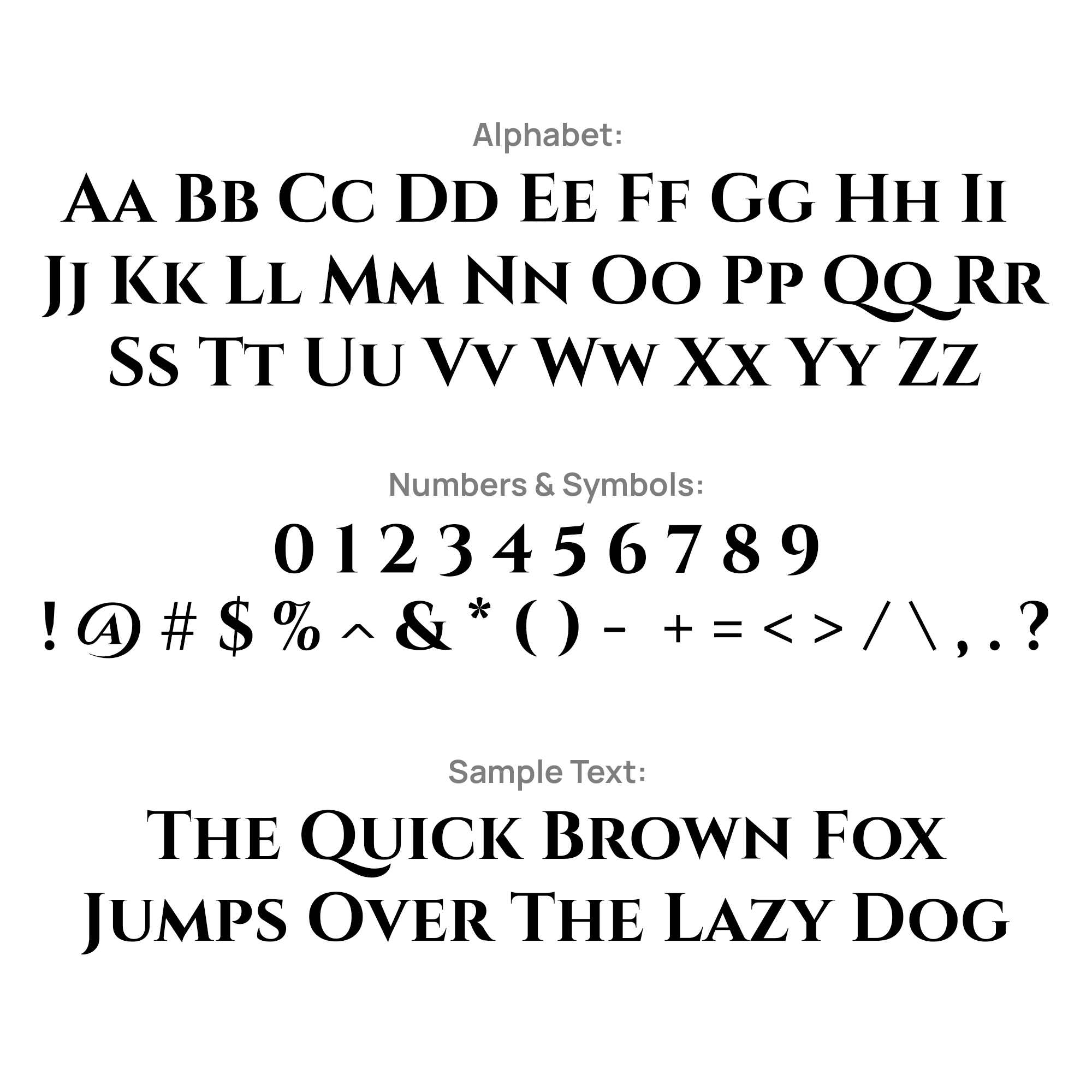 Ring 2 "The light shines"